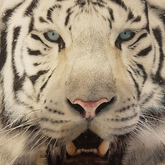 Tiger face sweatshirt - Picture 4 of 4